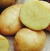Yukon Gold Parmesan Roasted Potatoes Recipe
